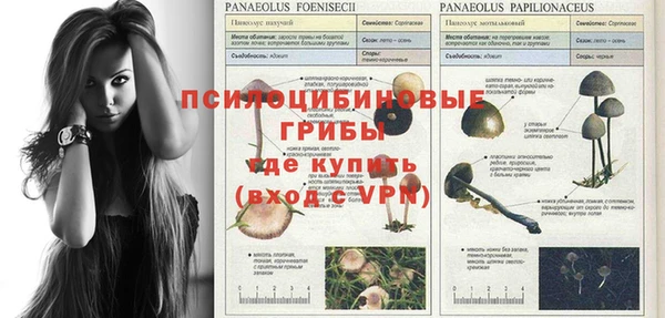 mix Покачи