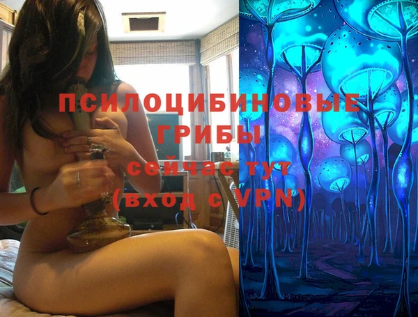 индика Баксан