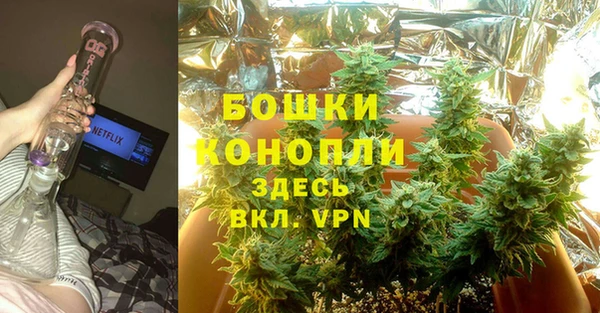 прущие грибы Арсеньев