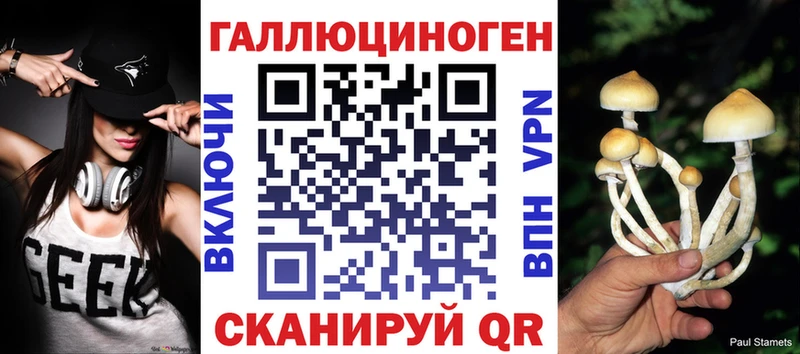 Псилоцибиновые грибы Cubensis Купино